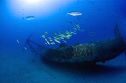 School of fish hovering around small wreck. by Andy Lerner 